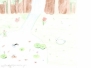 Drawings of 12-14 year-old children